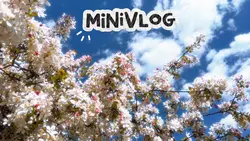 minivlo
