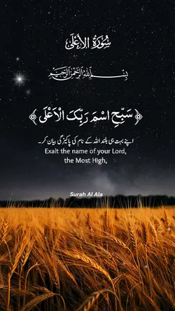 Surah Al Ala