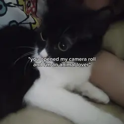 animal lover