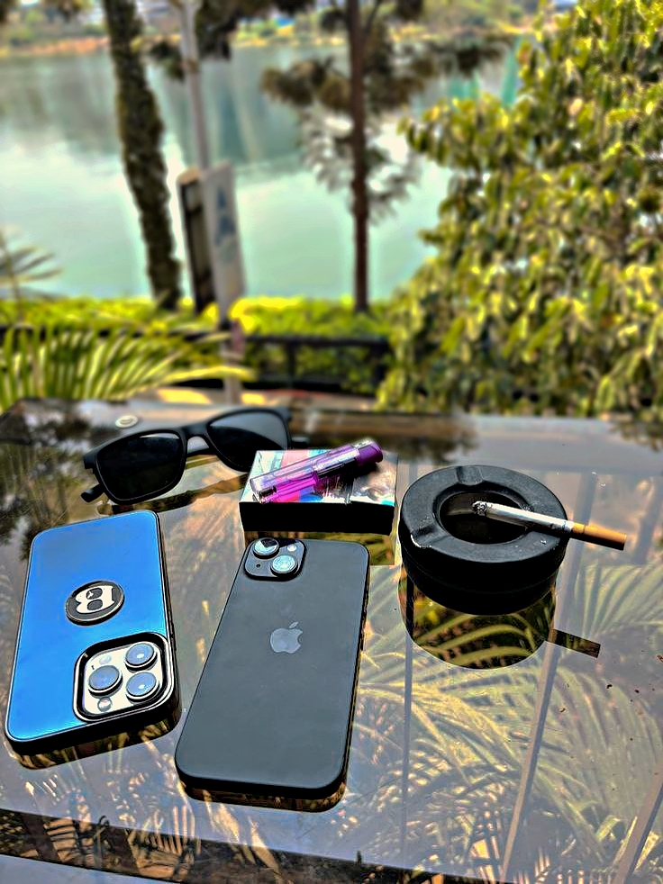 Cover Picture