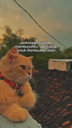 cukup untuk membuat 