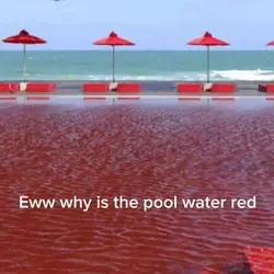 Why is the pool red