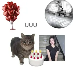 hbd uiiaiiuiai