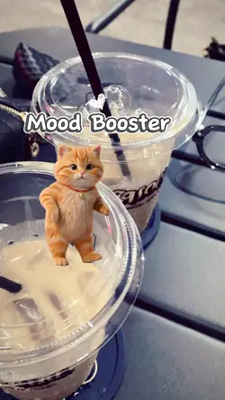 Mood Booster