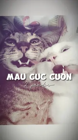 2 ẢNH GIẬT GIẬT CHÁY