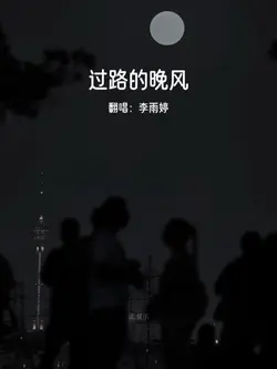 过路的晚风