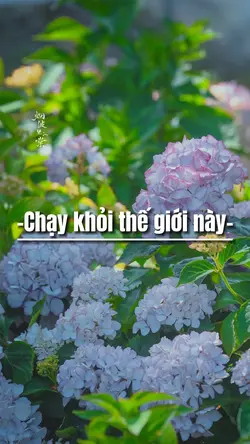 Beat 5 ảnh cuti