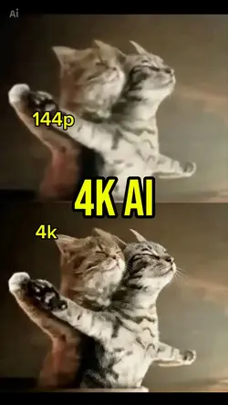 144p 4k