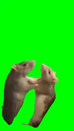 Rat Vs Rat
