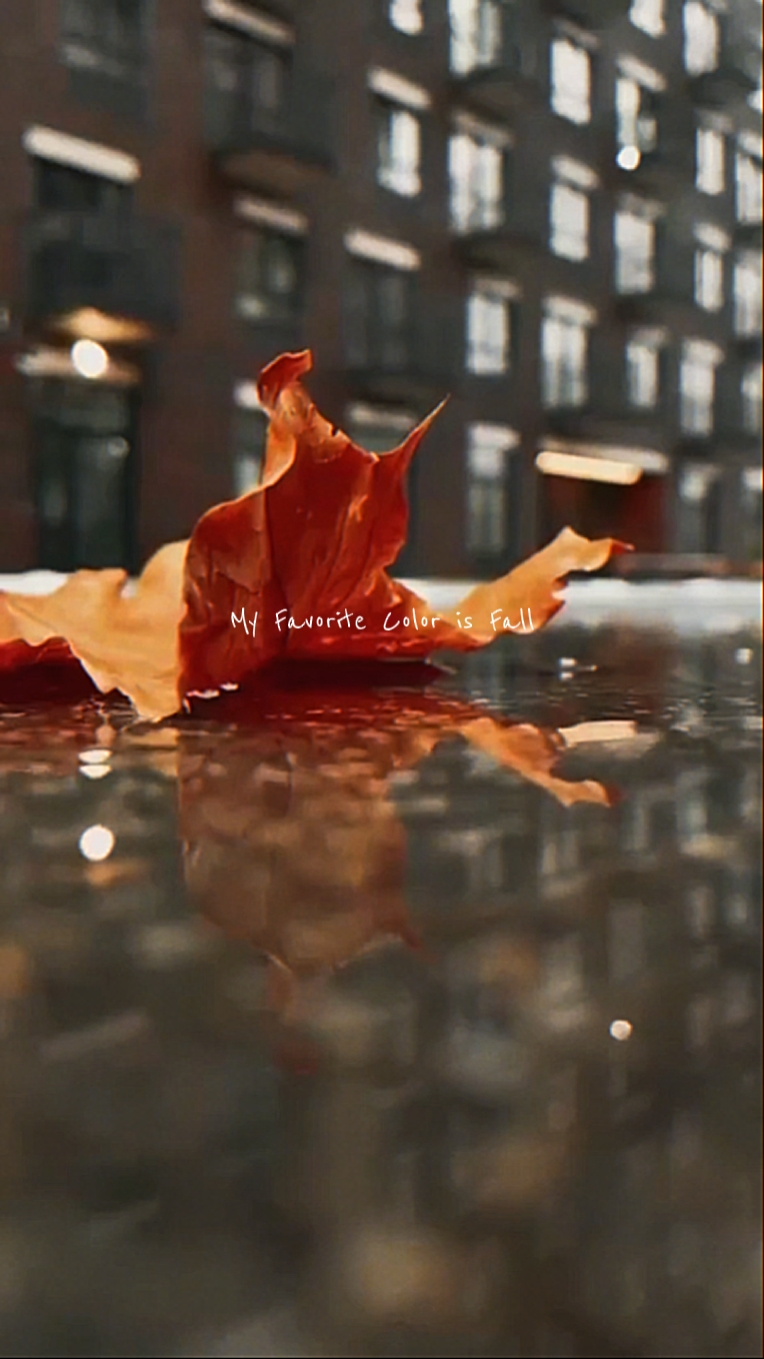 Fall-ing love 