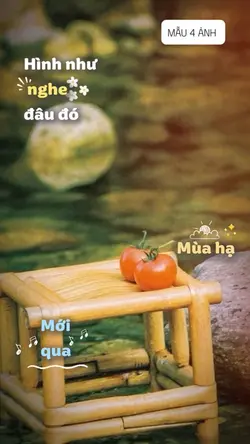 Mùa hạ mới qua