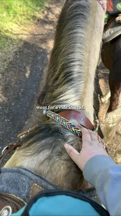 Went for a ride