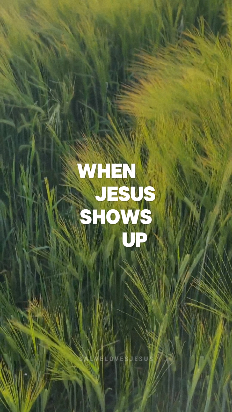 Cuando Jesús aparece