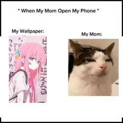 anime wallpaper