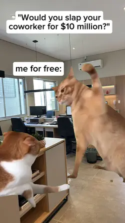 slap your coworker