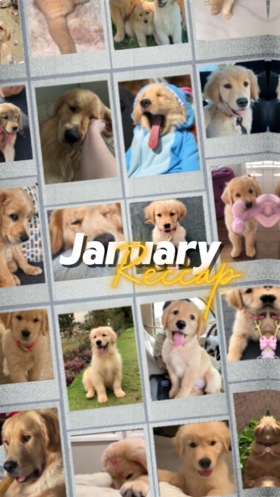 January recap