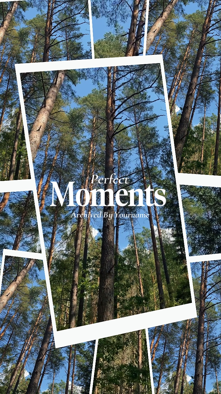 Momentos Perfeitos 