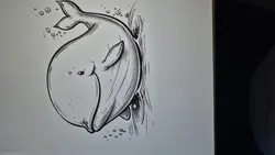 baleine