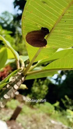 ziarahkubur