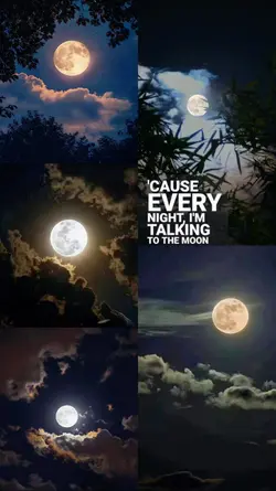talking to the moon 