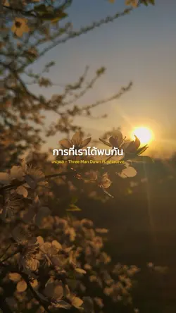 เหตุผล Three Man Down