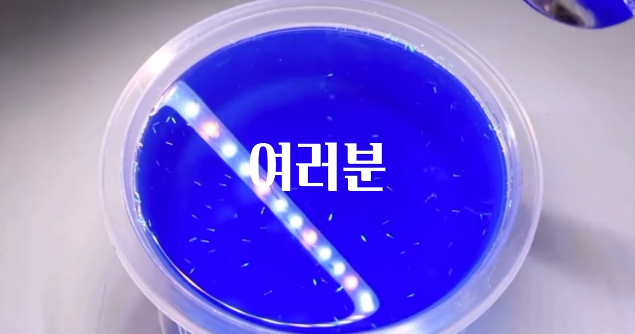 공약(관상용이면 박편으로 업로드 해