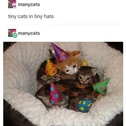 Totally didnt spend 