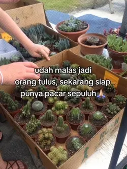 UdhMalasJadiTulus