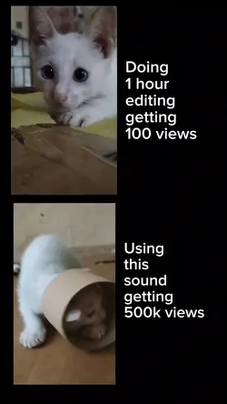 Not that Innocent