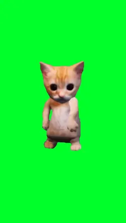 Roblox cat dance