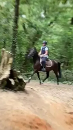 au trot