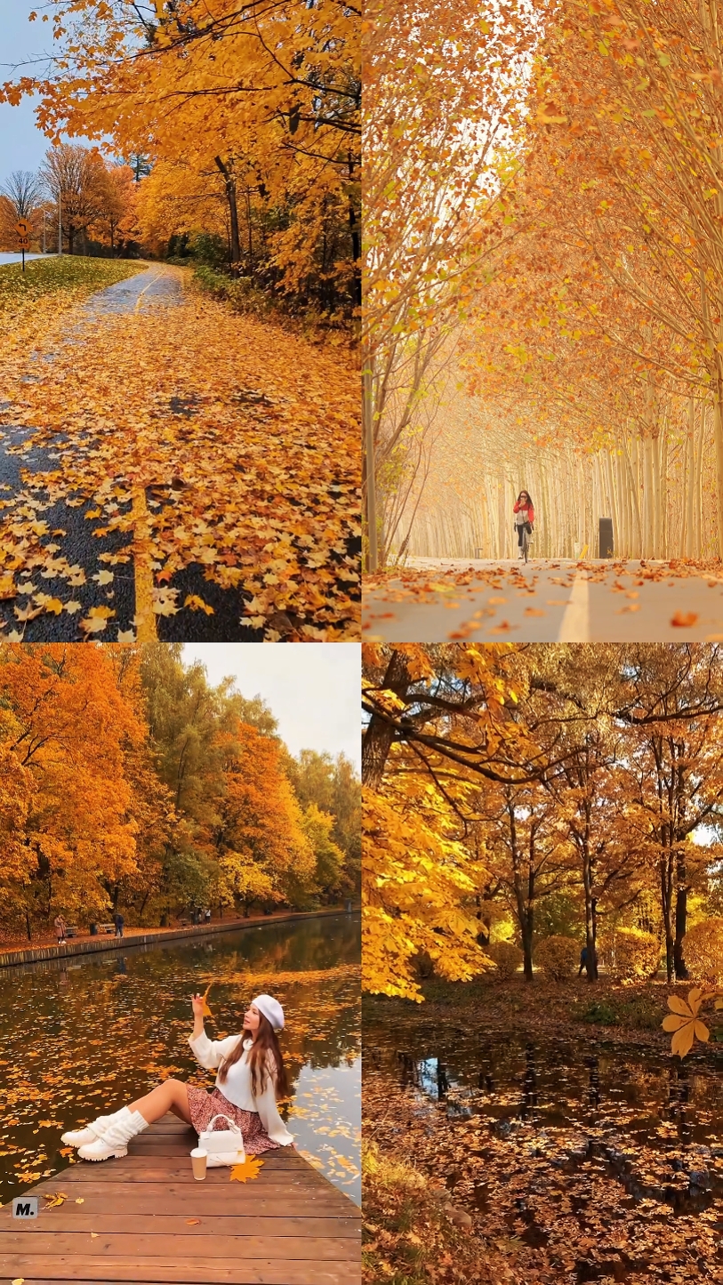 Autumn