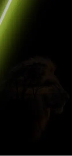 Light edit