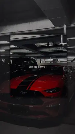 17. Này bạn thân ơi 