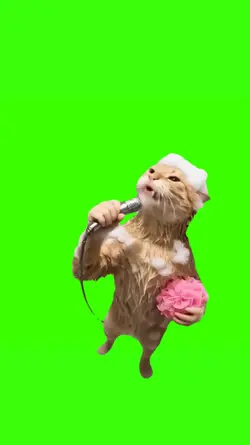 Cat Singing LuluLala