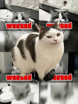 Cool Transition beat