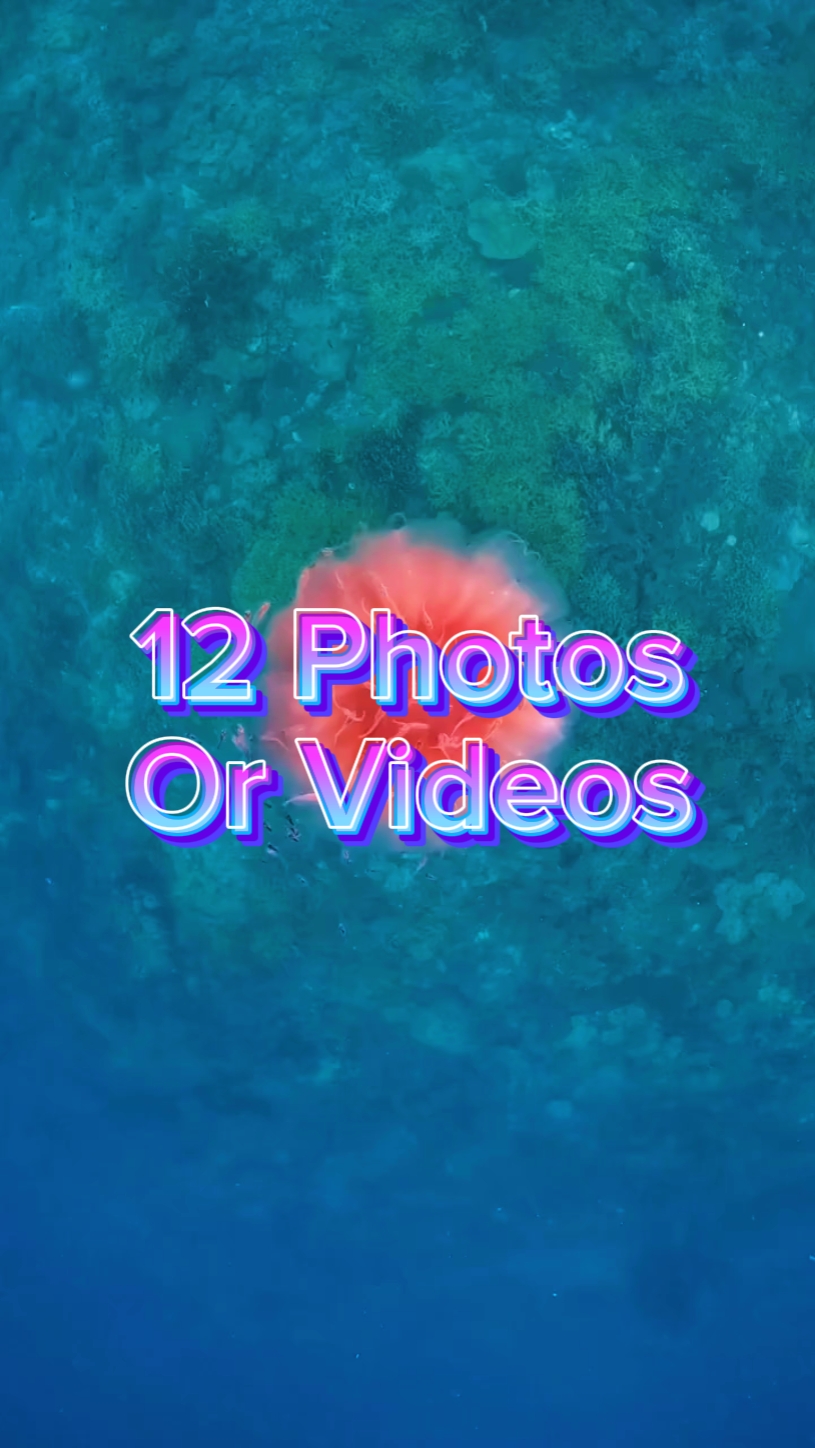 12 diapositives photos