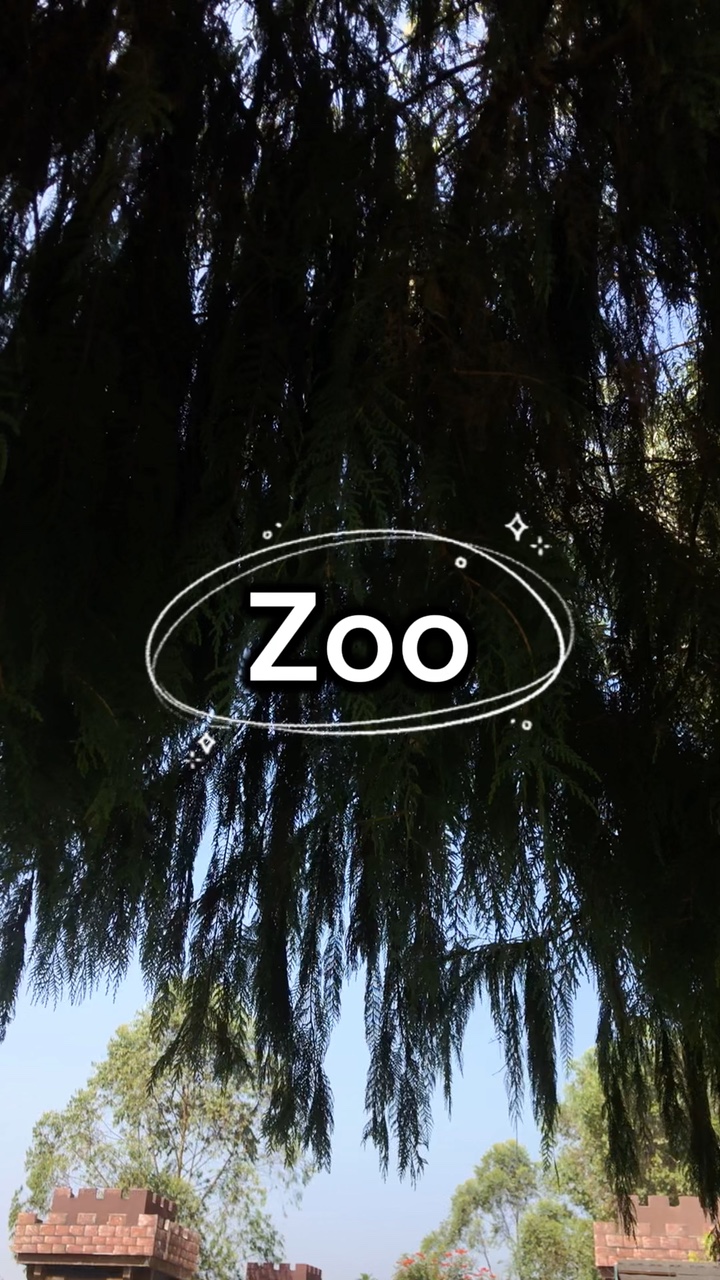 Zoo date