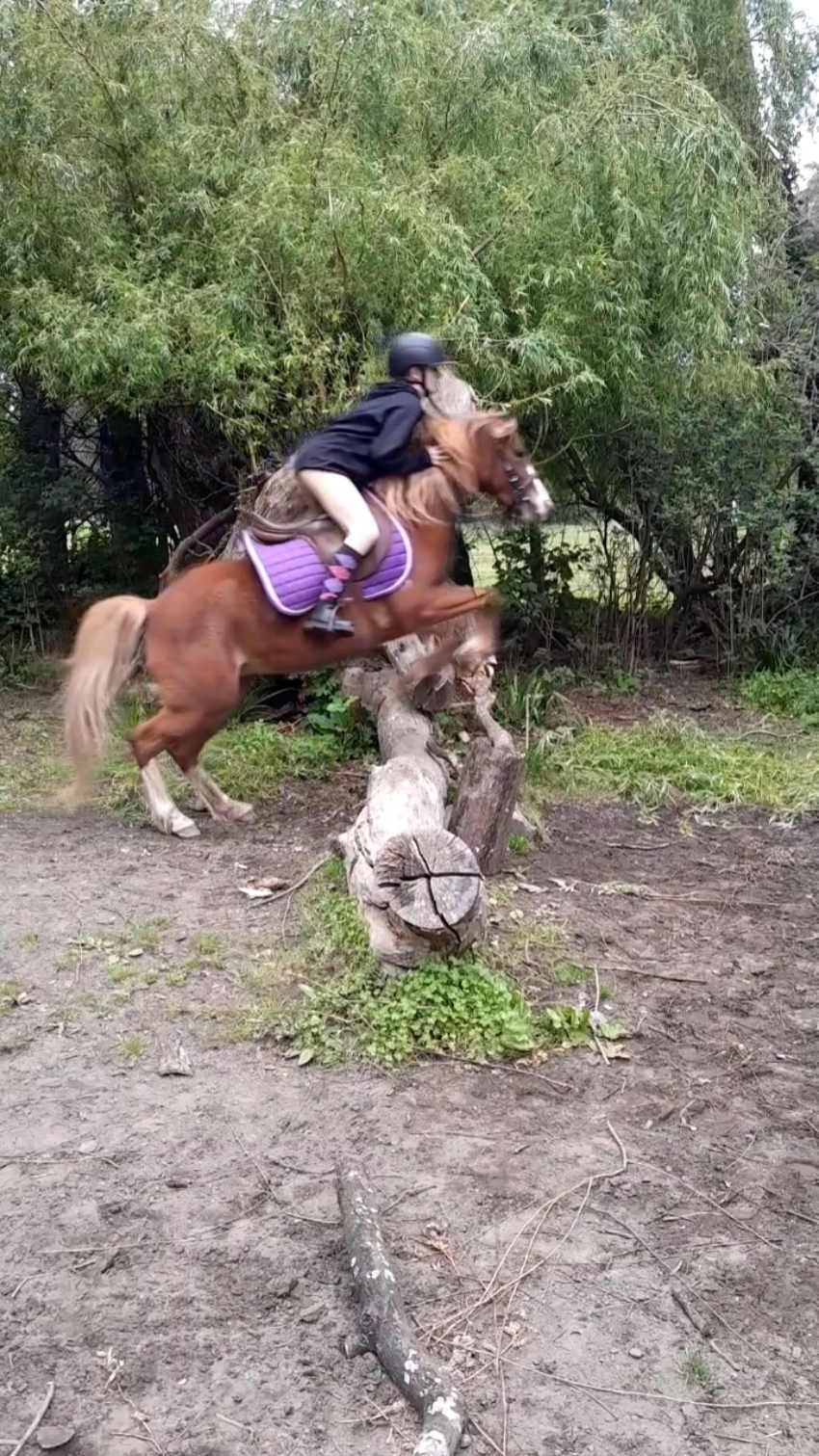 jump-up smooth slow