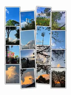16Pic Grid Aesthetic