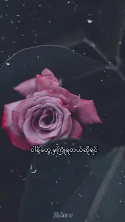 ငါတကယ်တောင်းပန်ပါတယ်