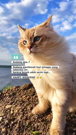 menikmati minggu