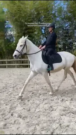 2 caractères opposés