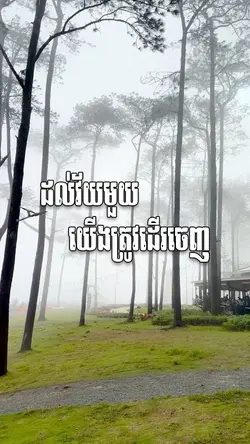 ដល់វ័យដើរចេញ