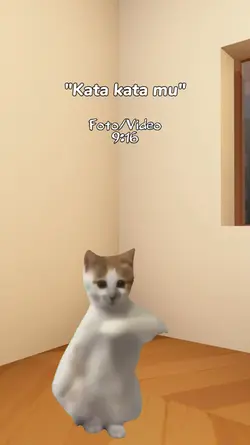 Kucing joget viral 