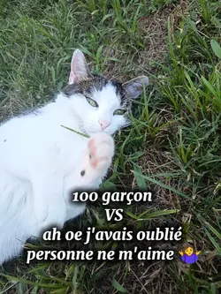 100 garçon vs