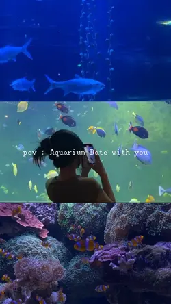 Aquarium Date Vlog