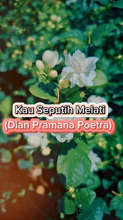 Kau Seputih Melati 