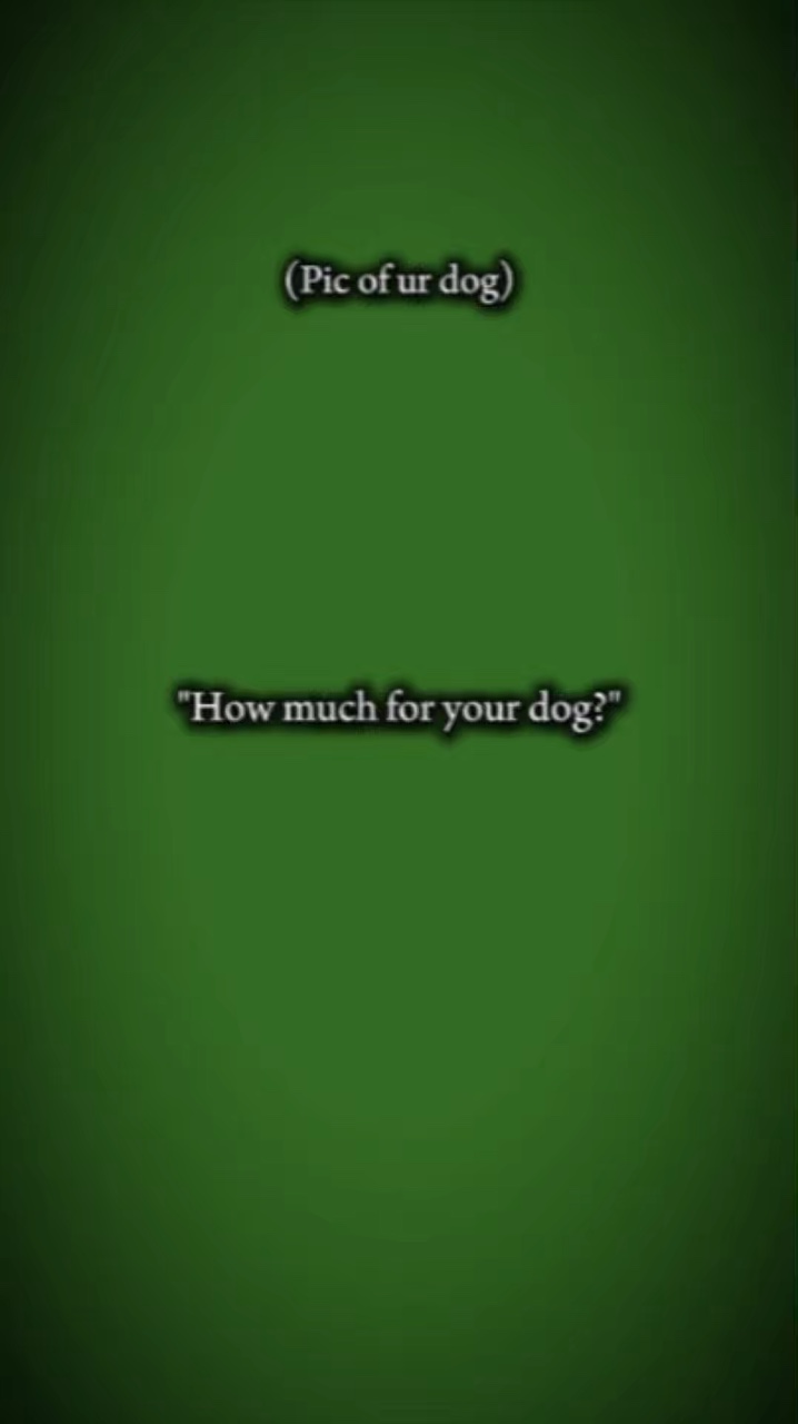Hund