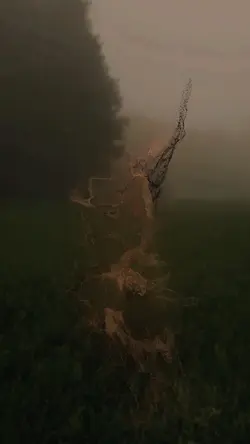 Faded Effect Slowmo